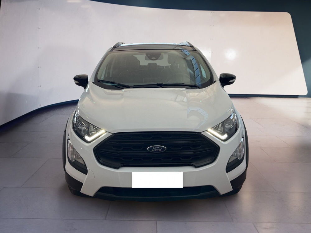 Ford EcoSport usata a Torino