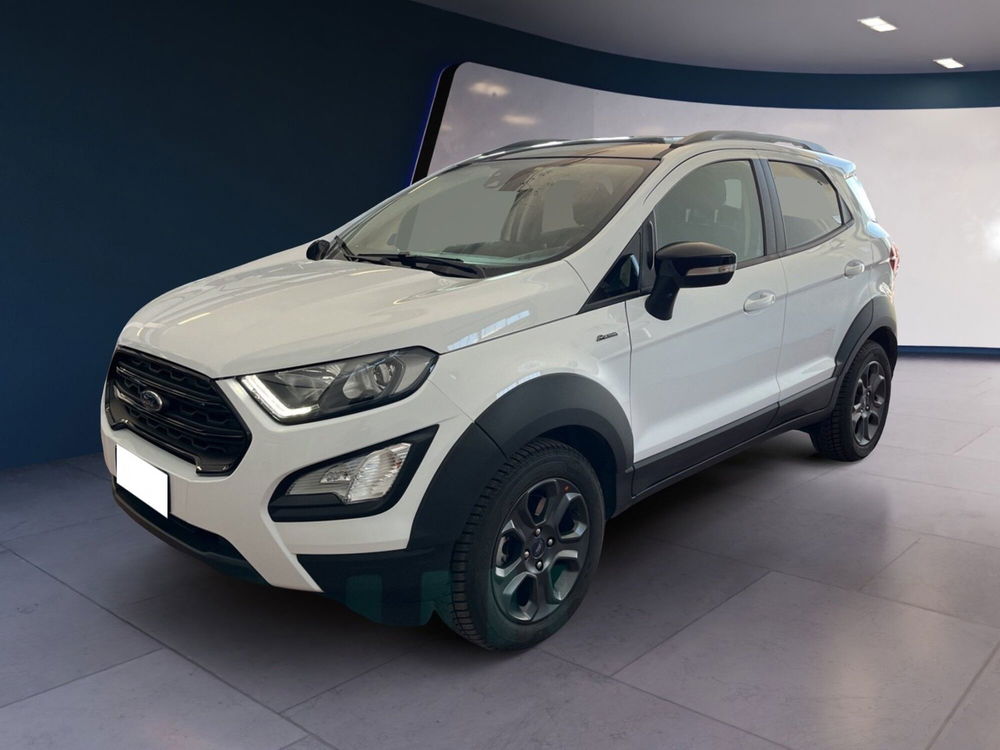 Ford EcoSport usata a Torino (2)