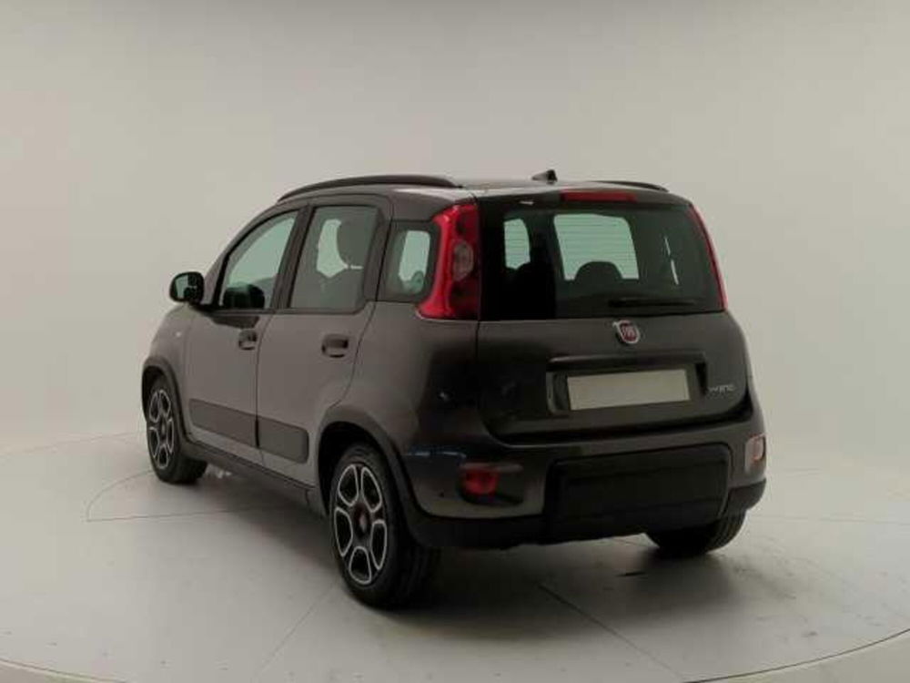 Fiat Panda usata a Avellino (5)