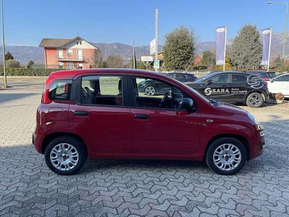 Fiat Panda usata a Torino (6)