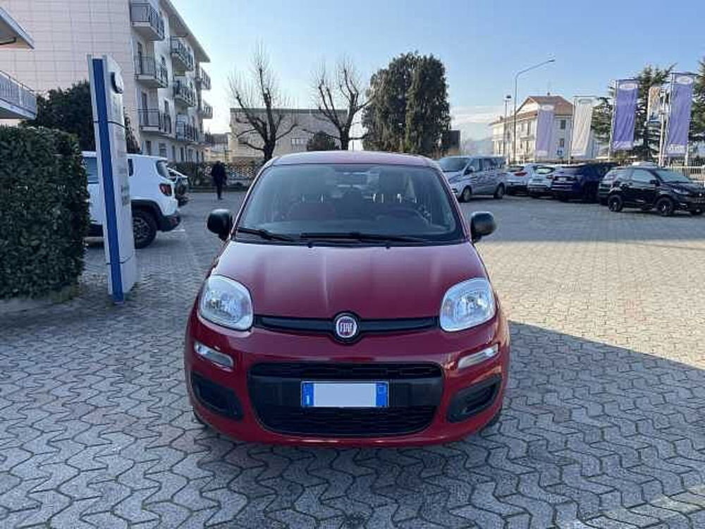 Fiat Panda usata a Torino (8)