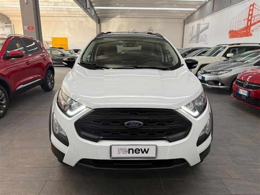 Ford EcoSport usata a Cremona (2)