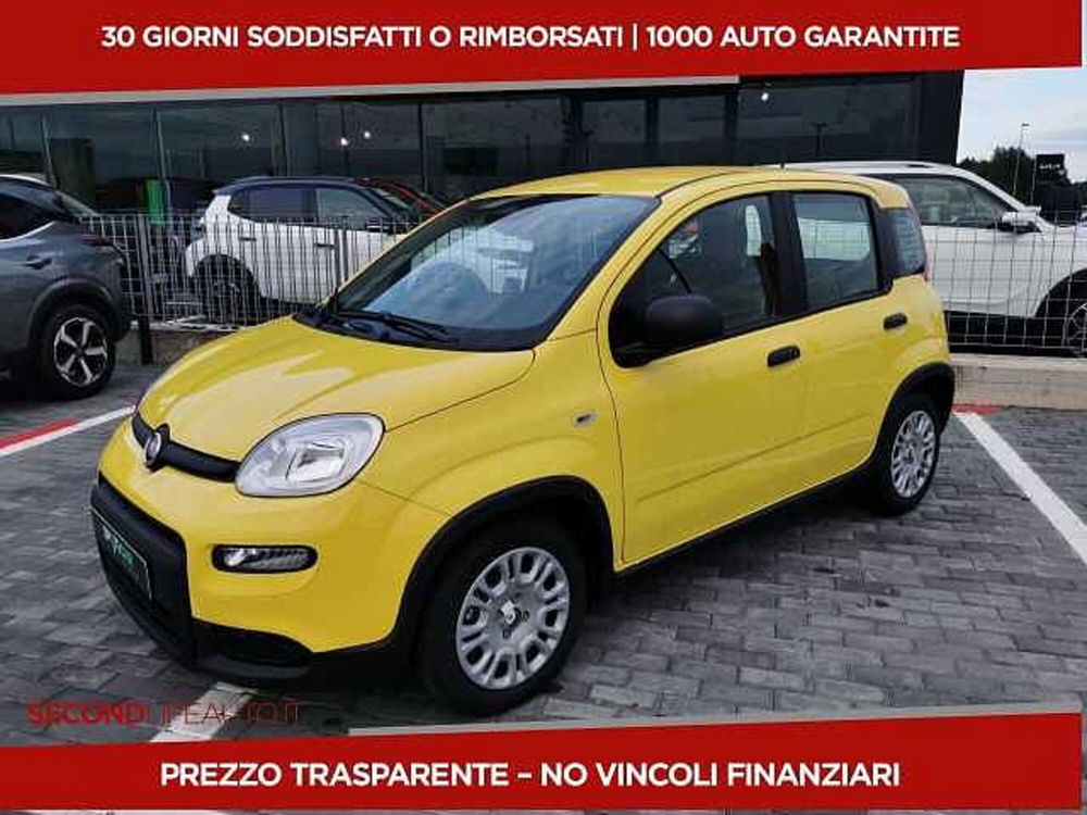 Fiat Panda nuova a Chieti (2)