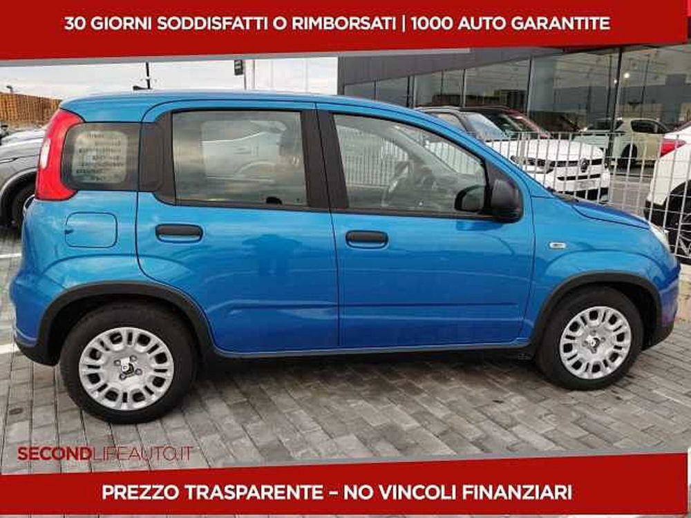 Fiat Panda nuova a Chieti (19)