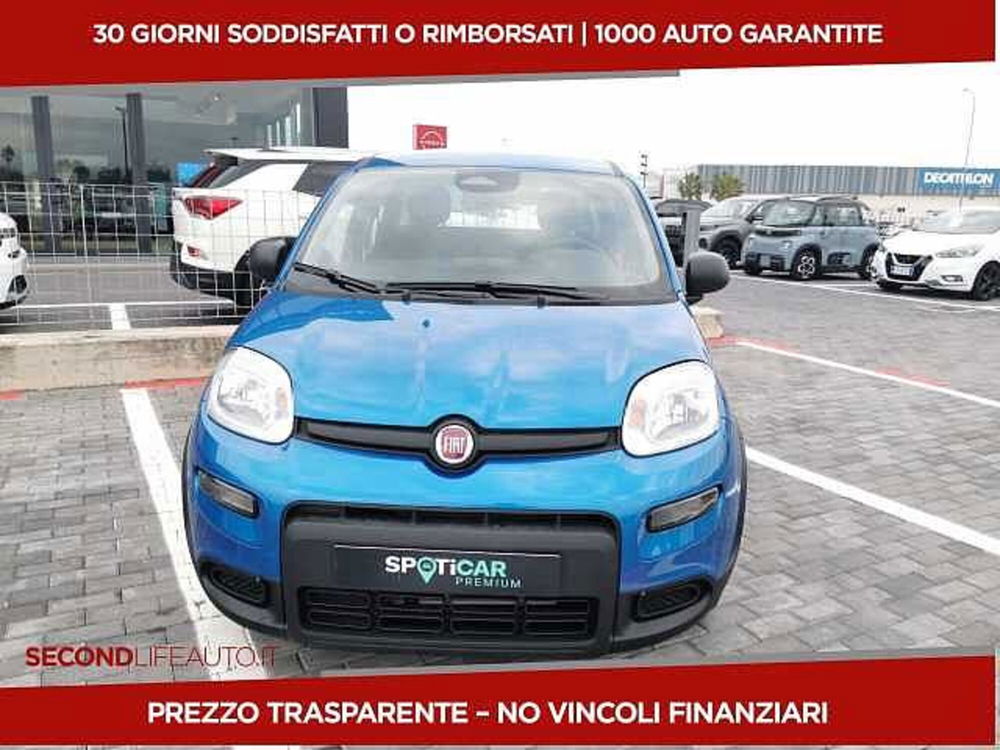 Fiat Panda nuova a Chieti (2)