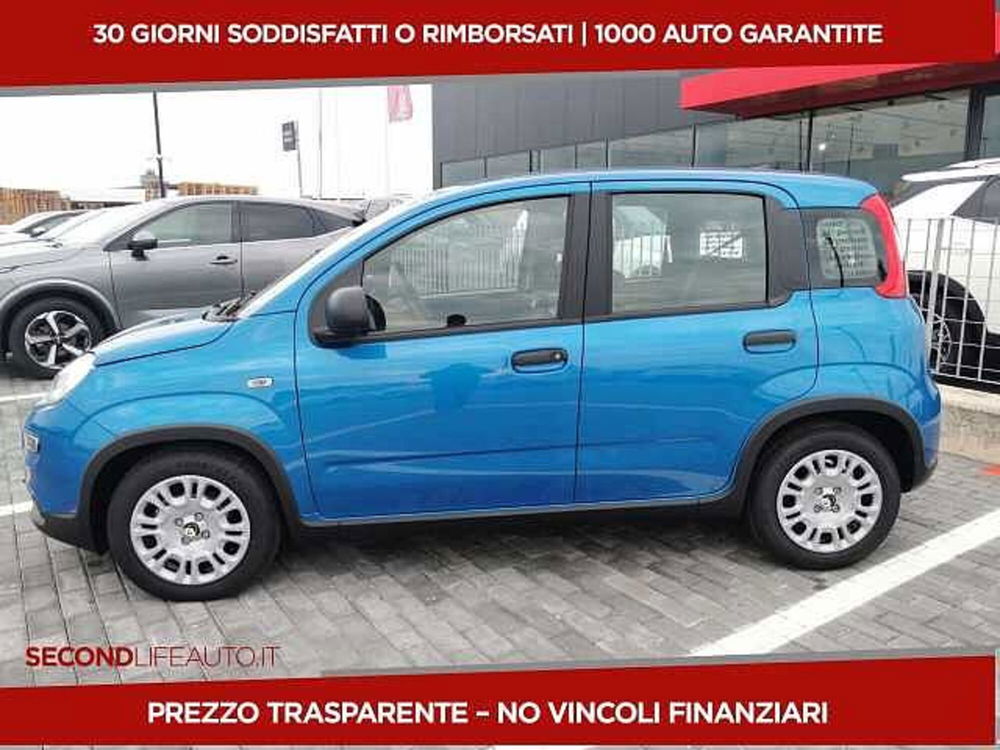 Fiat Panda nuova a Chieti (3)