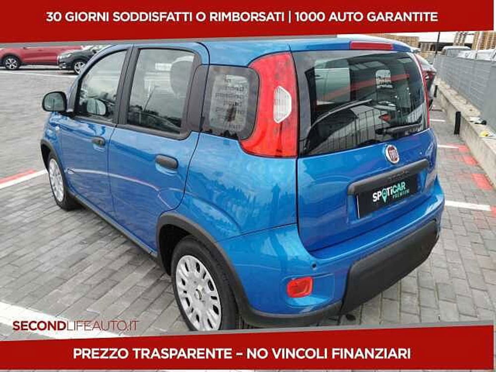 Fiat Panda nuova a Chieti (4)