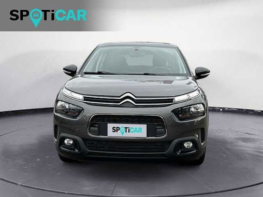 Citroen C4 Cactus usata a Treviso (2)