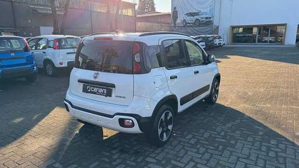 Fiat Panda Cross usata a Milano (6)