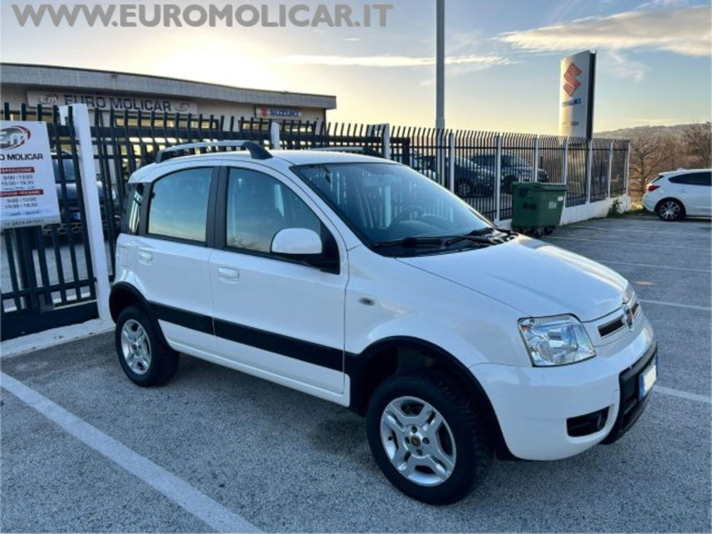 Fiat Panda usata a Campobasso