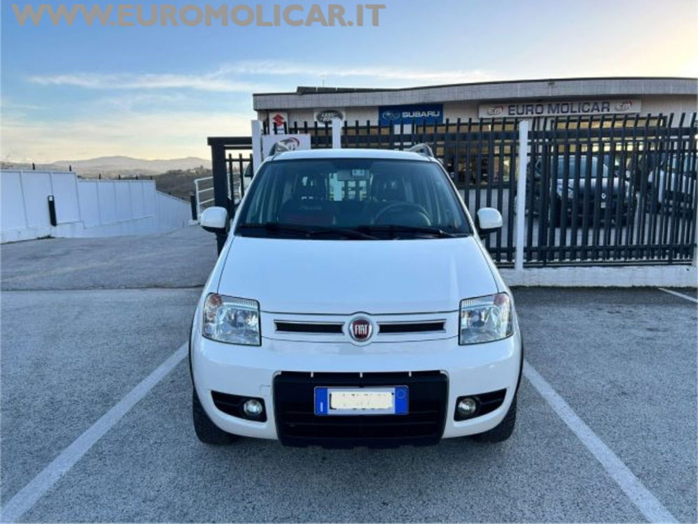 Fiat Panda usata a Campobasso (5)