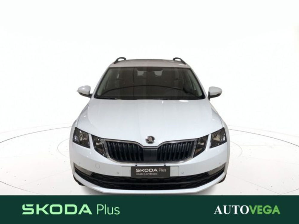 Skoda Octavia Station Wagon usata a Vicenza (2)