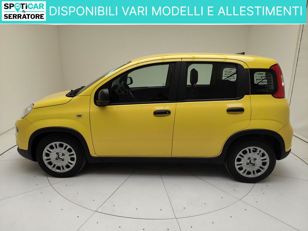 Fiat Panda nuova a Como (4)