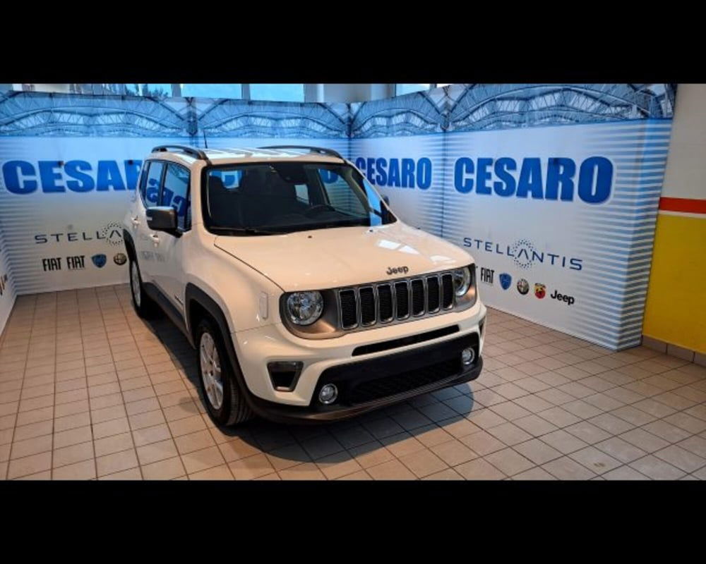 Jeep Renegade usata a Aosta