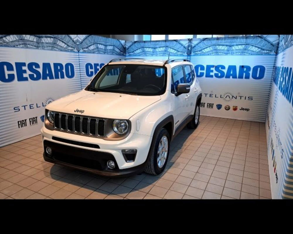 Jeep Renegade usata a Aosta (2)