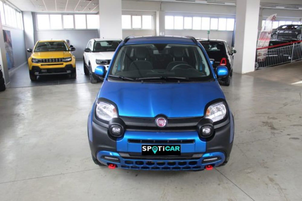 Fiat Panda Cross usata a Terni (2)