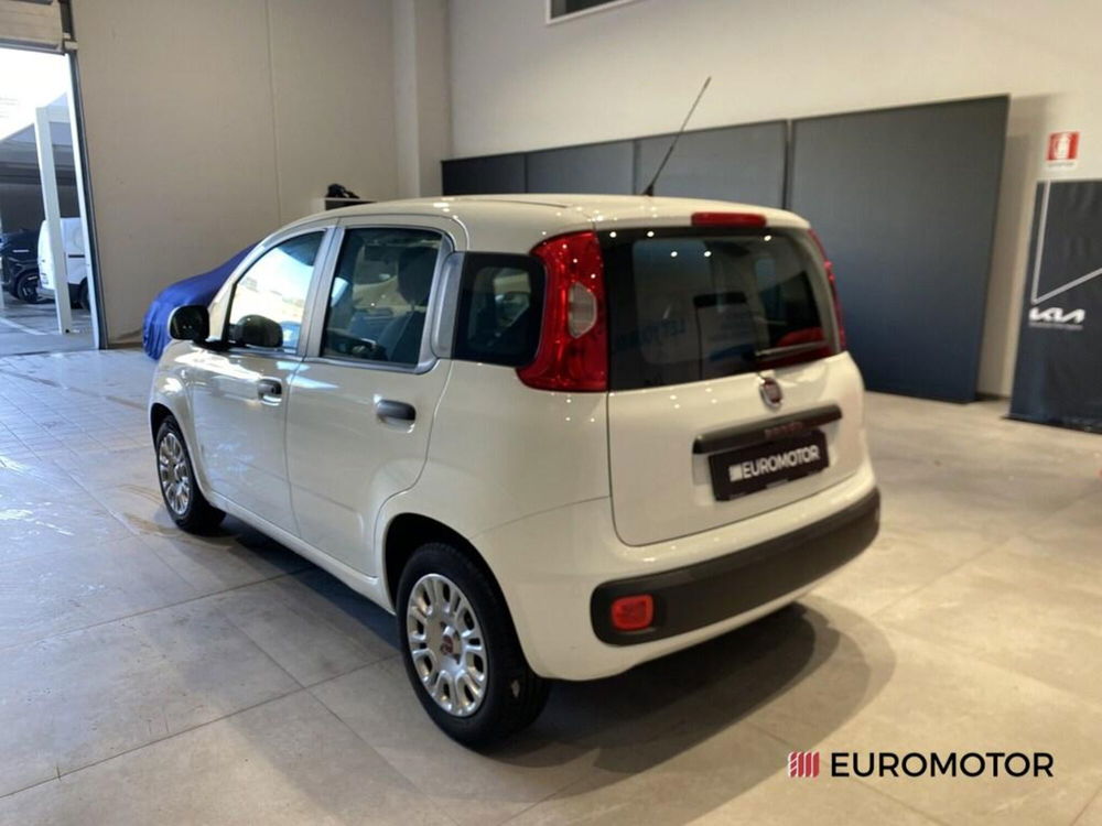 Fiat Panda usata a Bari (7)