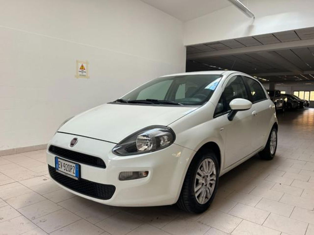 Fiat Punto usata a Cuneo