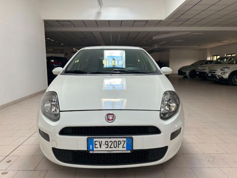 Fiat Punto usata a Cuneo (2)