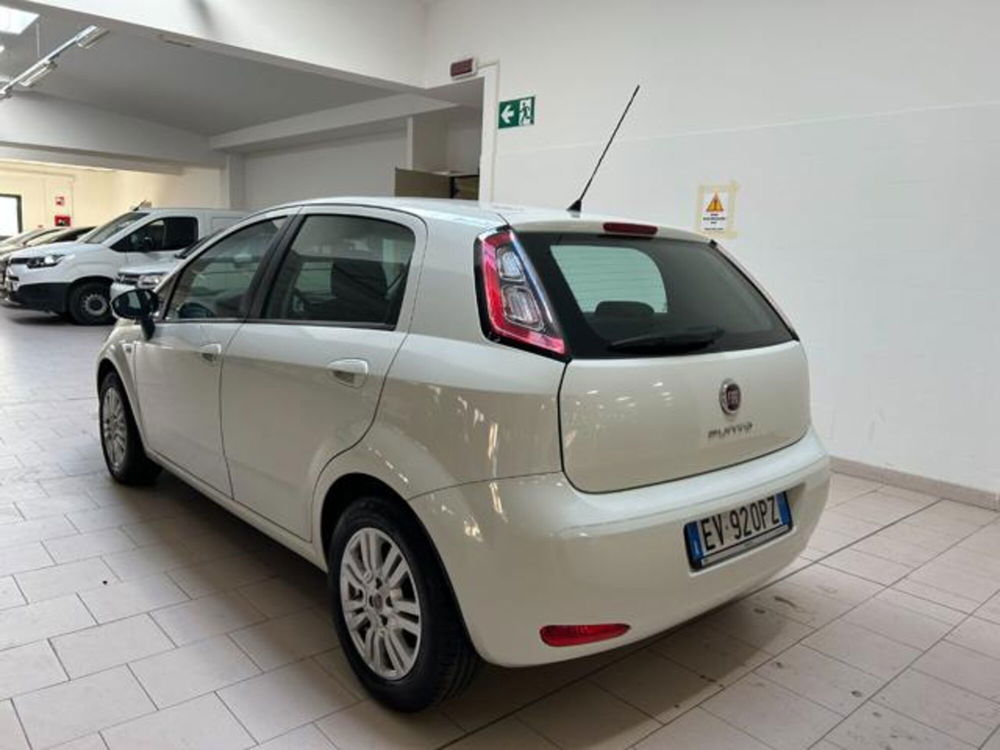 Fiat Punto usata a Cuneo (7)