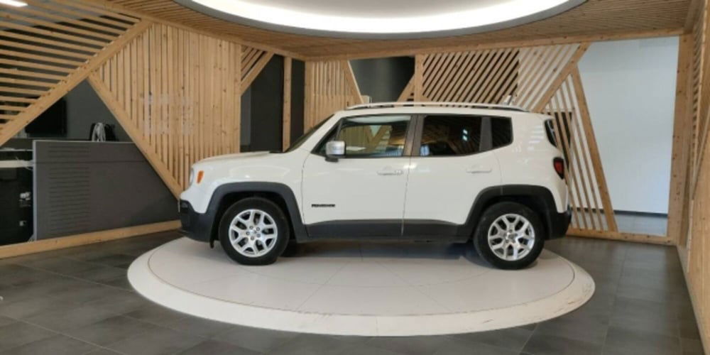 Jeep Renegade usata a Catanzaro (12)