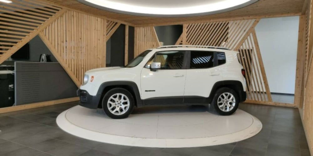 Jeep Renegade usata a Catanzaro (13)