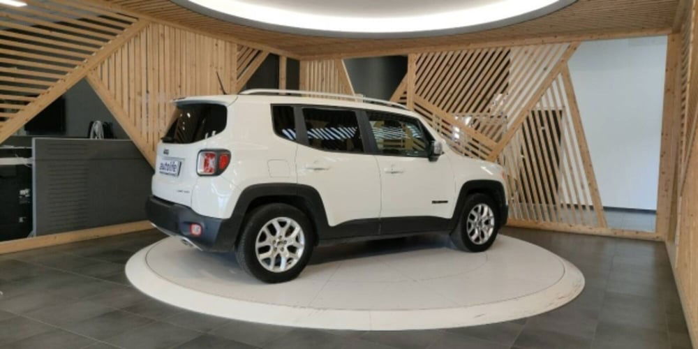 Jeep Renegade usata a Catanzaro (6)