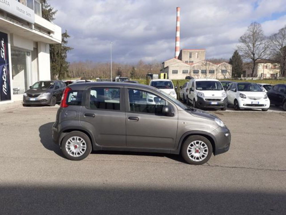 Fiat Panda usata a Firenze (4)