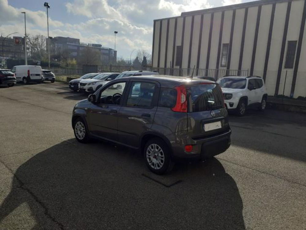 Fiat Panda usata a Firenze (7)