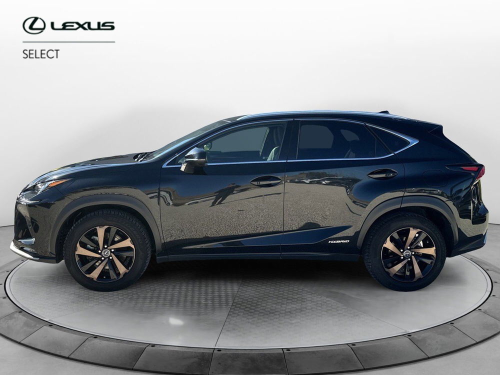 Lexus NX usata a Ragusa (2)