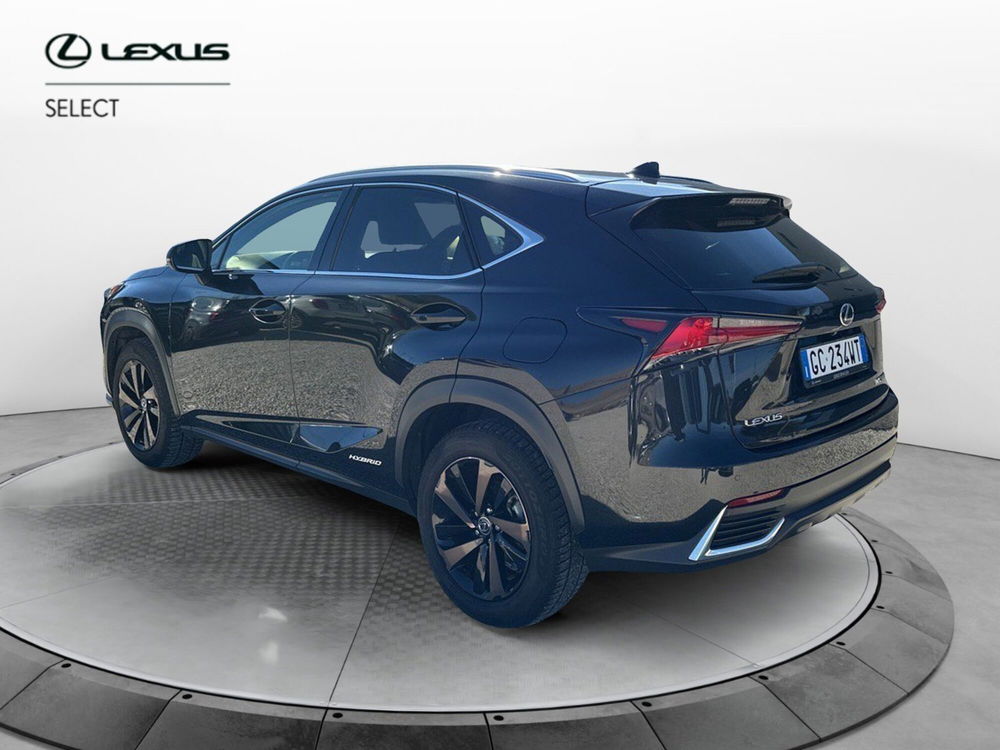 Lexus NX usata a Ragusa (4)