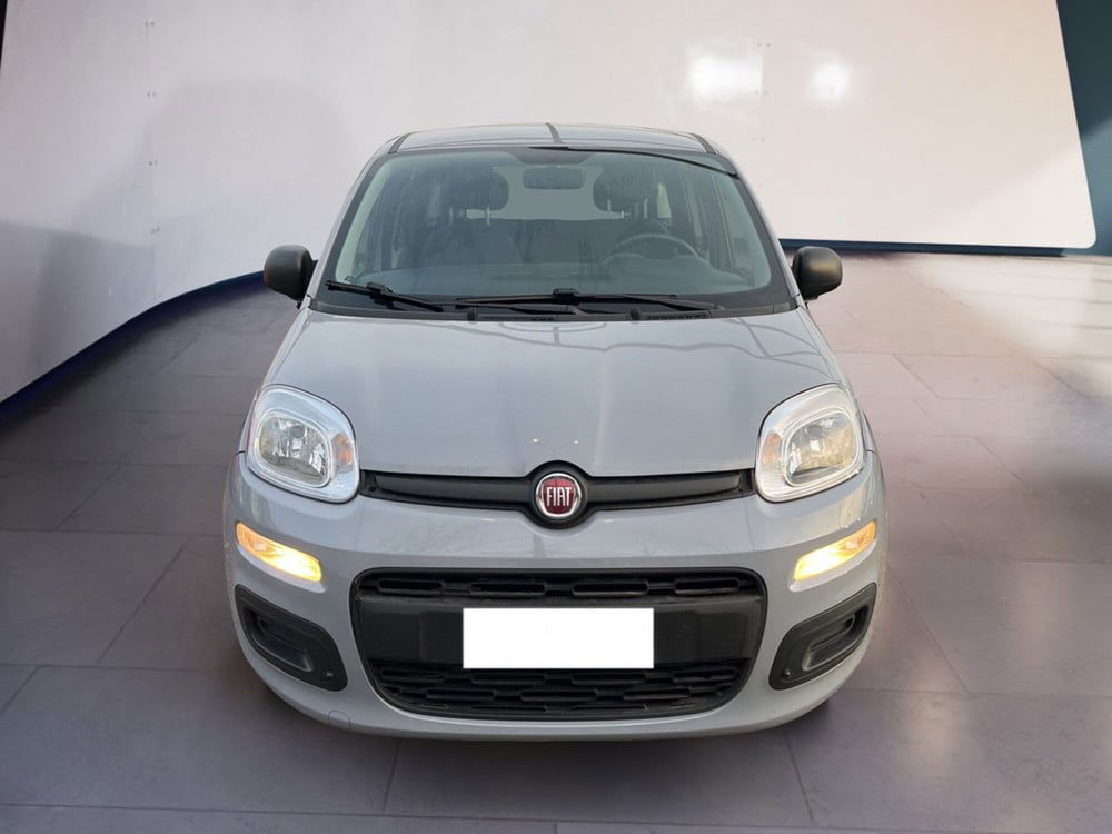 Fiat Panda usata a Torino