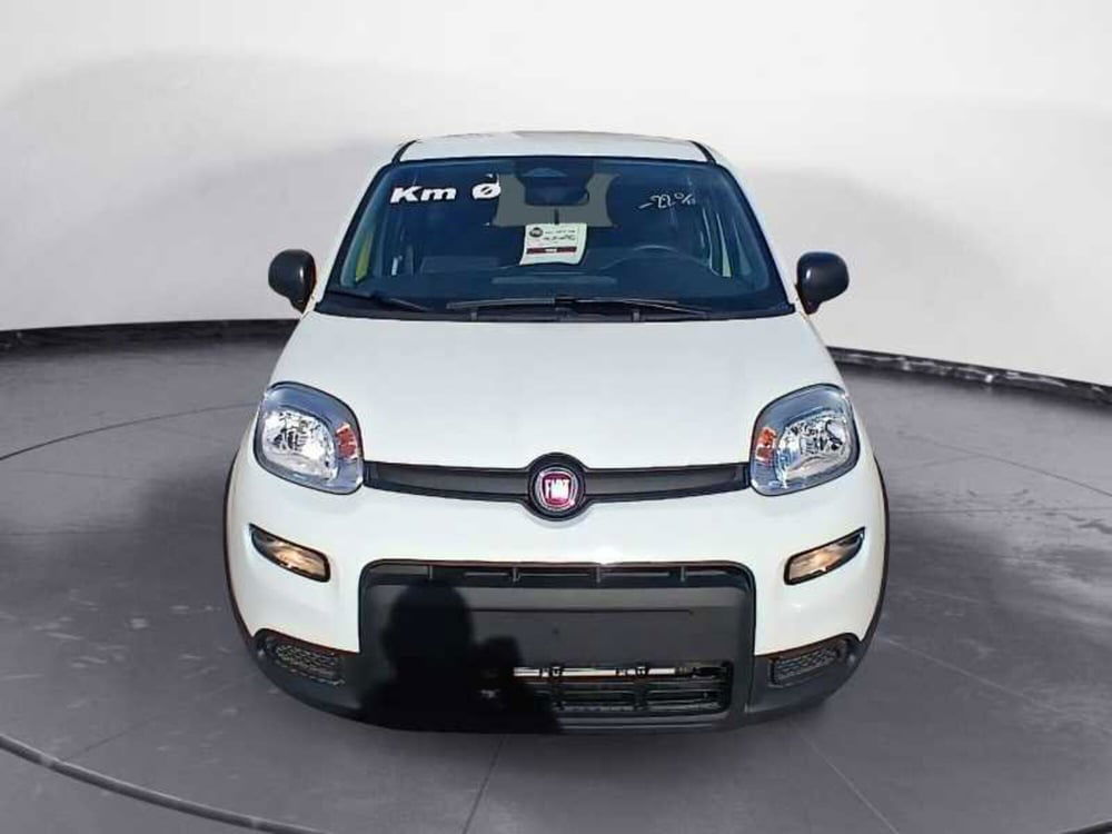 Fiat Panda Cross nuova a Lecce (18)