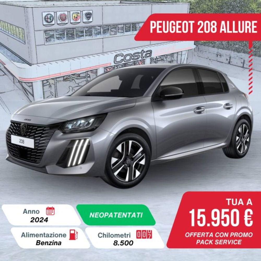 Peugeot 208 usata a Treviso