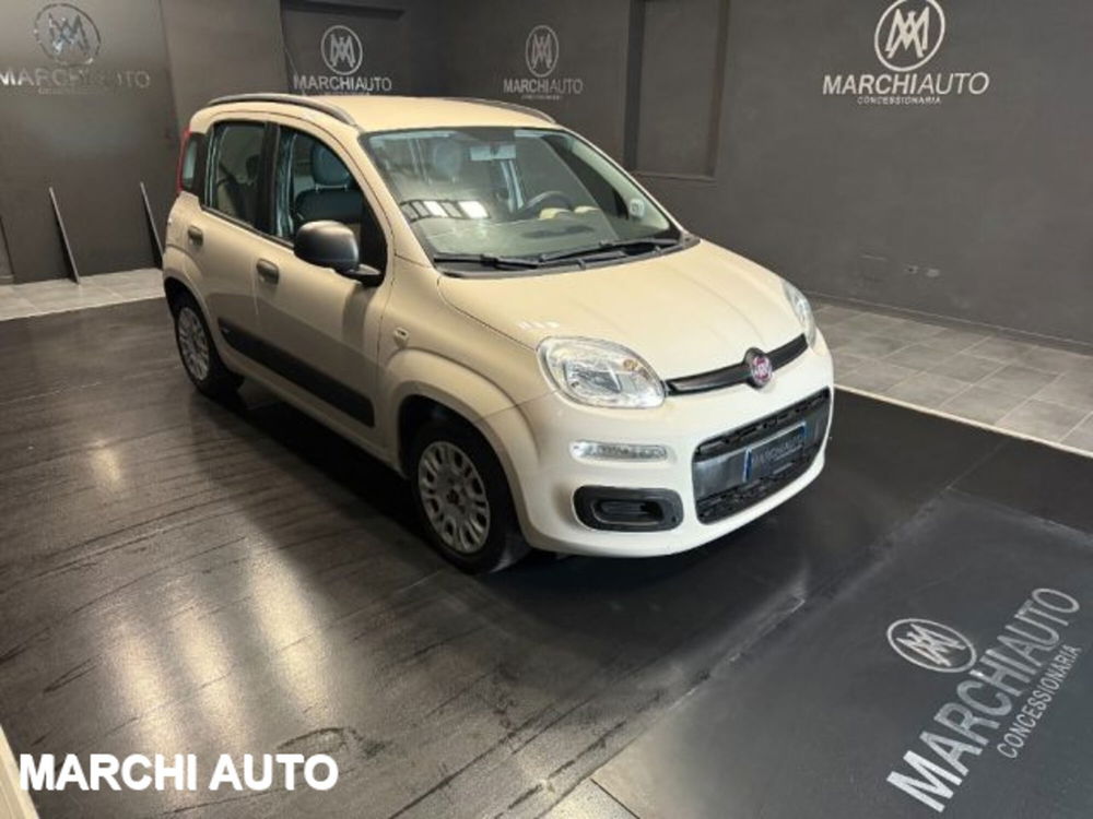 Fiat Panda usata a Perugia (3)