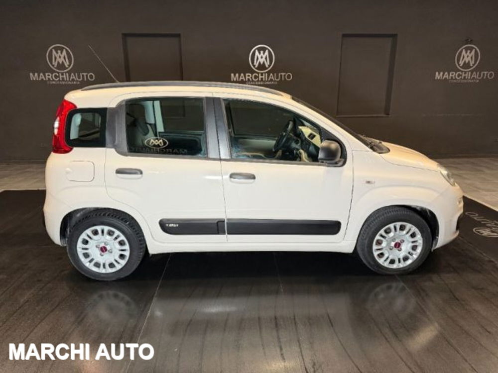 Fiat Panda usata a Perugia (4)