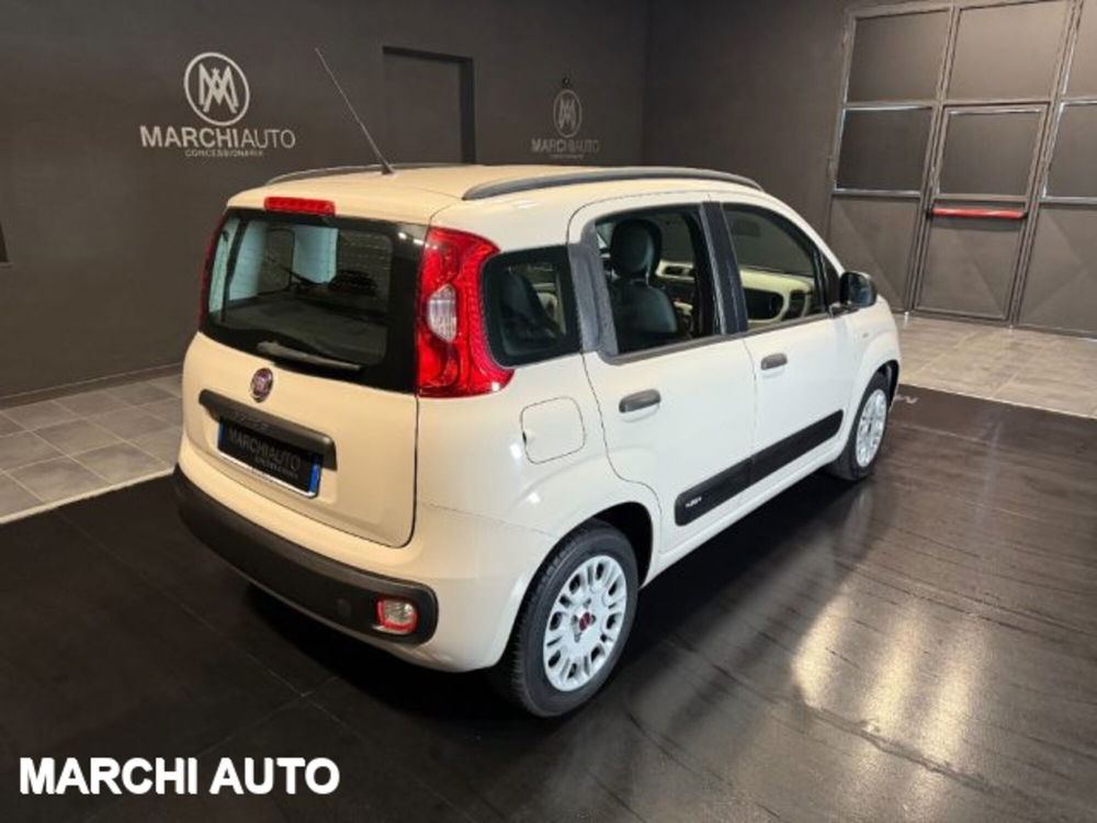 Fiat Panda usata a Perugia (5)