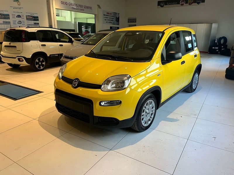 Fiat Panda Cross Cross 1.0 FireFly S&S Hybrid  nuova a Milano