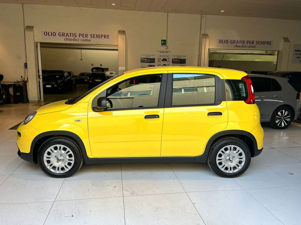 Fiat Panda Cross nuova a Milano (4)