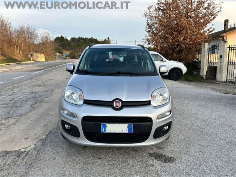 Fiat Panda 1.2 Lounge  del 2017 usata a Busso