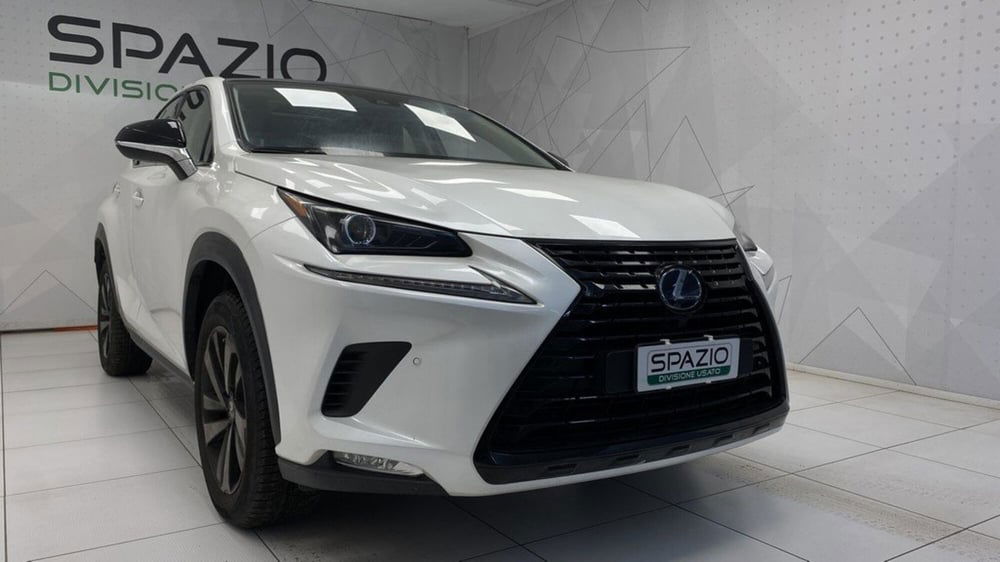 Lexus NX usata a Torino (2)