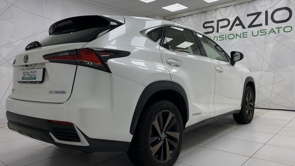 Lexus NX usata a Torino (5)