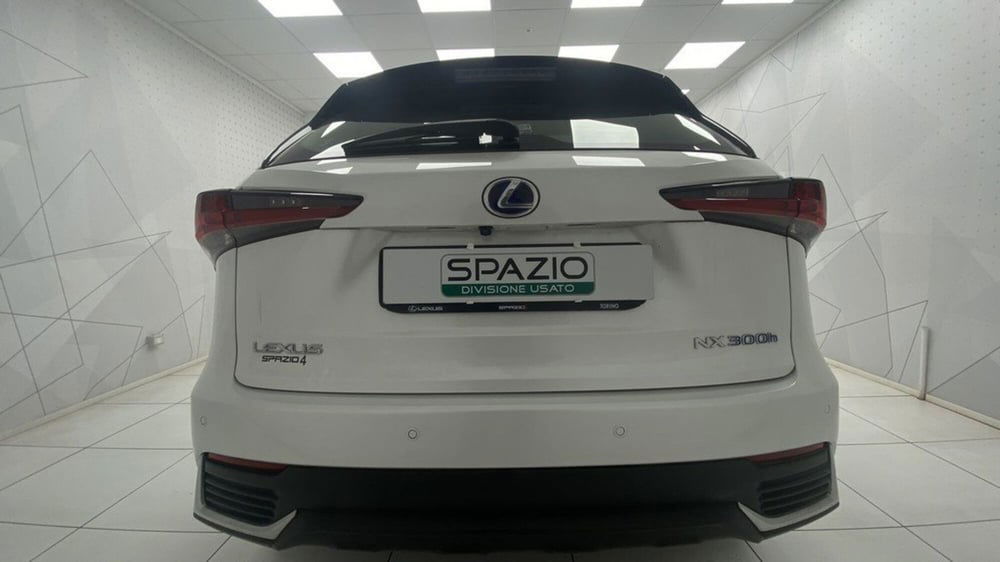 Lexus NX usata a Torino (6)