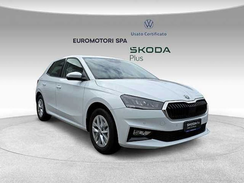 Skoda Fabia usata a Siena (6)