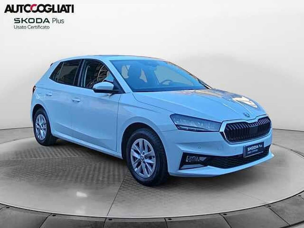 Skoda Fabia usata a Lecco (3)