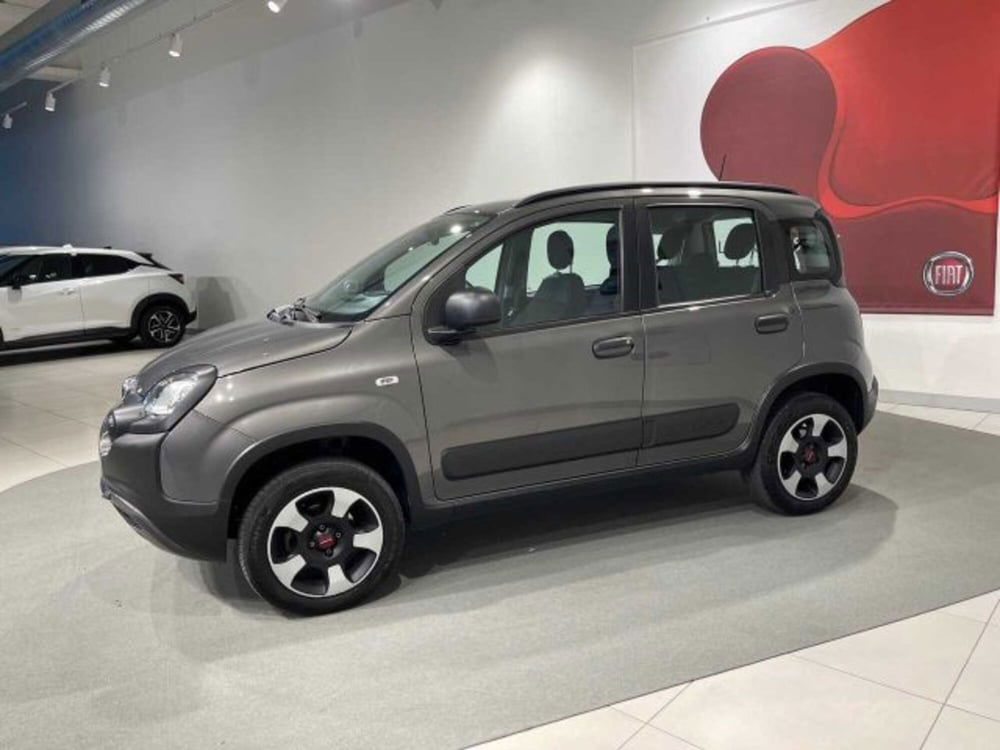 Fiat Panda Cross usata a Sondrio (2)