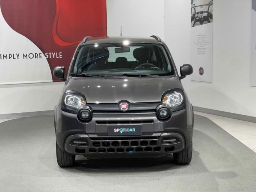 Fiat Panda Cross usata a Sondrio (8)