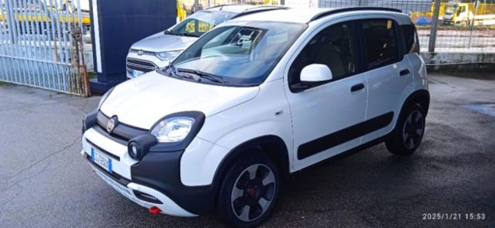 Fiat Panda Cross usata a Frosinone (6)