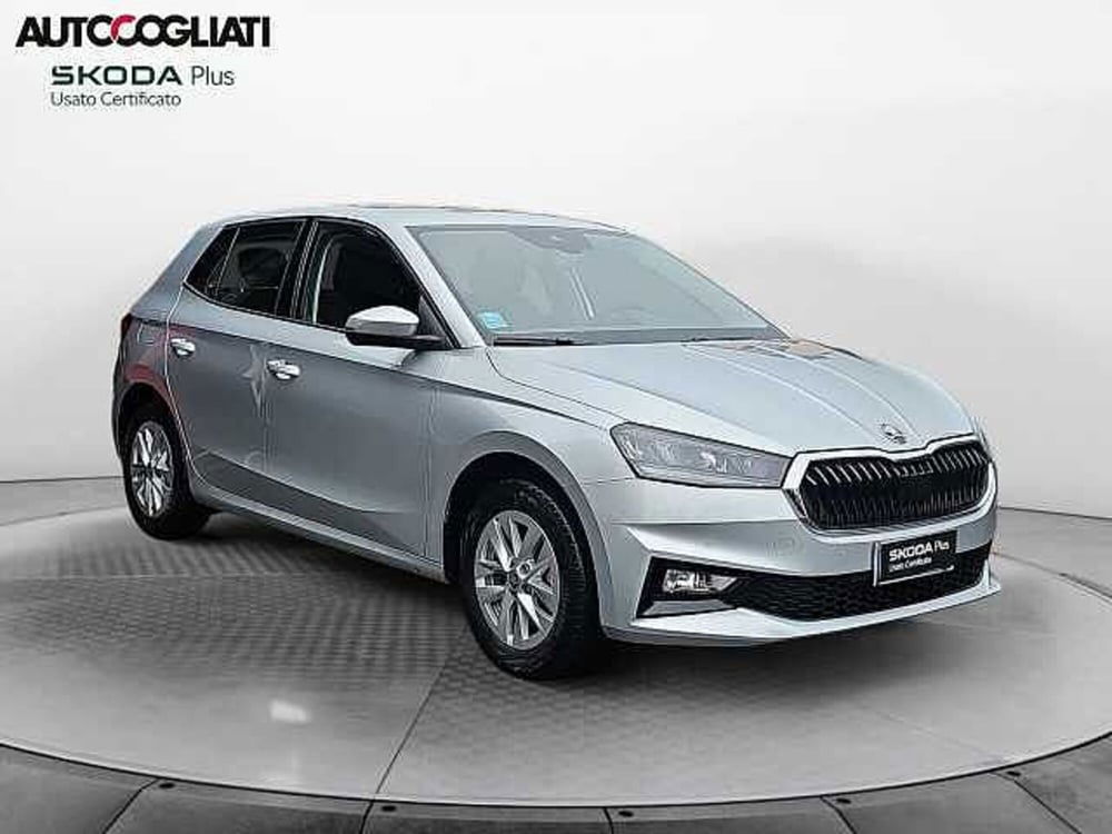 Skoda Fabia usata a Lecco (3)