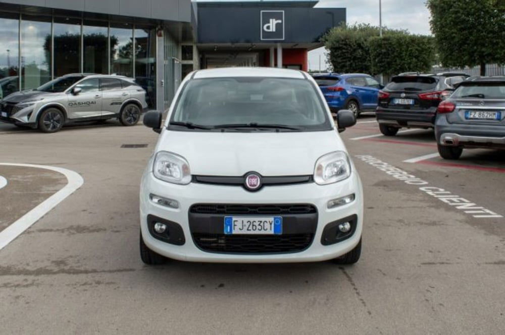 Fiat Panda usata a Latina (2)